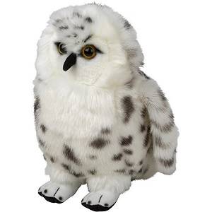 Large Snowy Owl